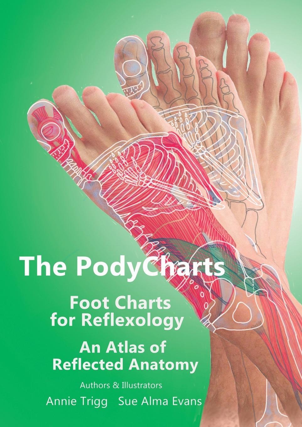 Cover: 9781789632293 | The PodyCharts Foot Charts for Reflexology | Annie Trigg | Taschenbuch