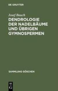 Cover: 9783110061130 | Dendrologie der Nadelbäume und übrigen Gymnospermen | Josef Bauch