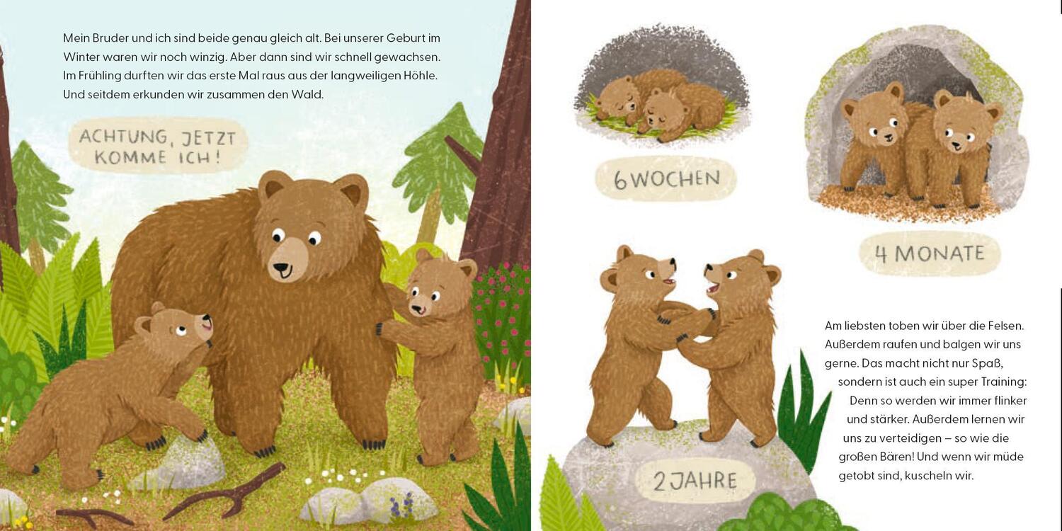 Bild: 9783737372565 | Kennst du mich? Ich bin ein Bär! | Andrea Weller-Essers | Buch | 18 S.