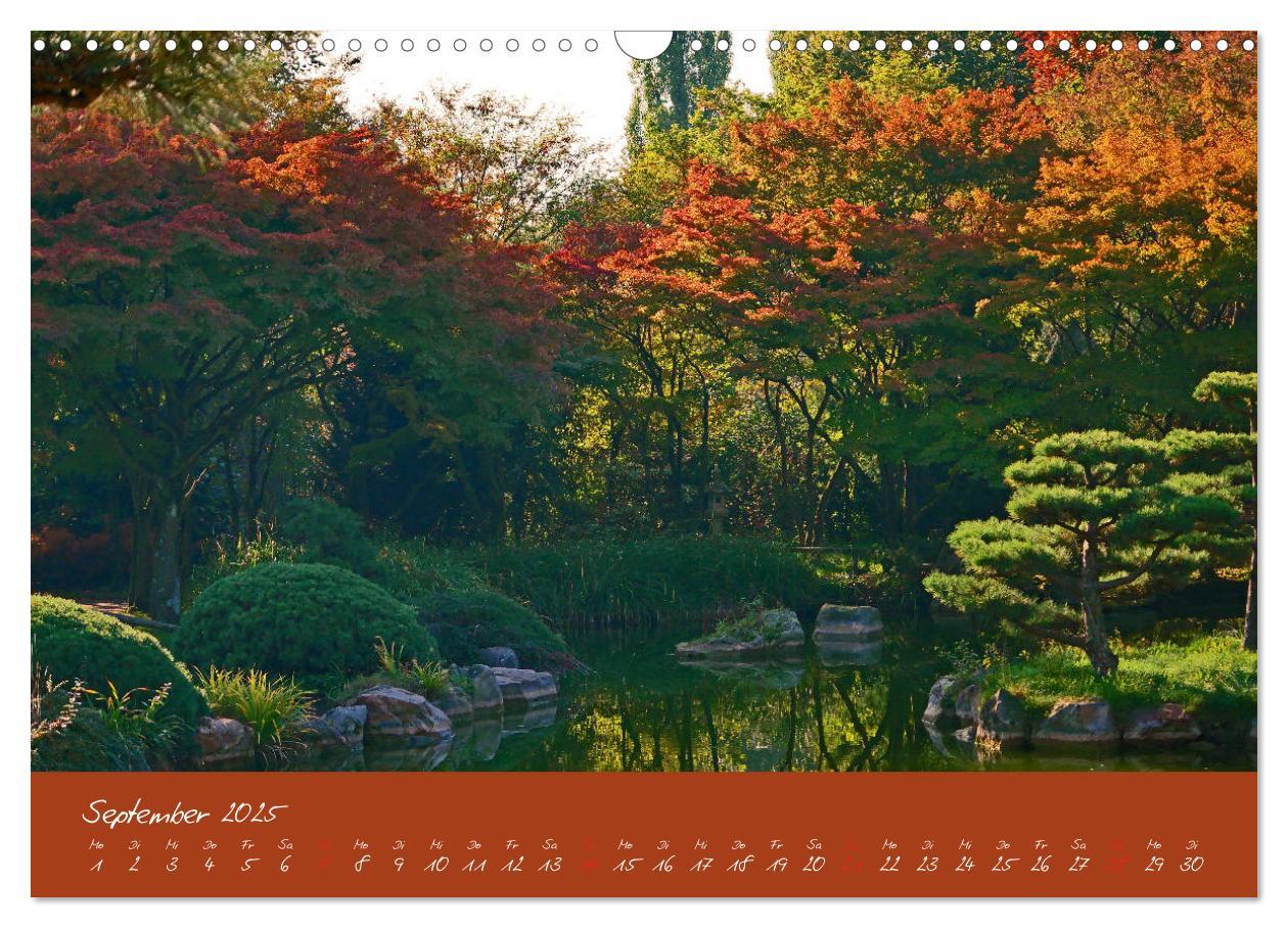 Bild: 9783435255375 | Düsseldorfer Nordpark (Wandkalender 2025 DIN A3 quer), CALVENDO...