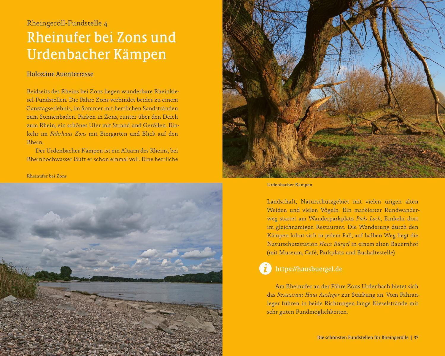 Bild: 9783985080328 | Schätze des Rheins | Sven von Loga | Taschenbuch | 160 S. | Deutsch