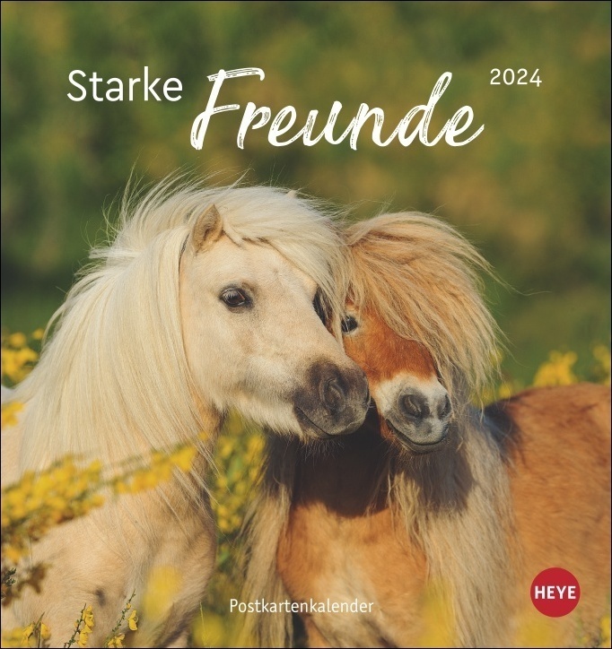 Cover: 9783756400409 | Pferde - Starke Freunde Postkartenkalender 2024. Pferdefotografin...