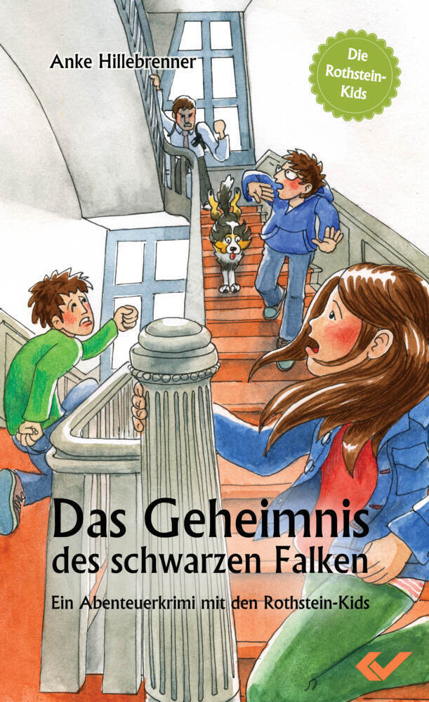 Cover: 9783863531324 | Die Rothstein-Kids - Das Geheimnis des schwarzen Falken | Hillebrenner