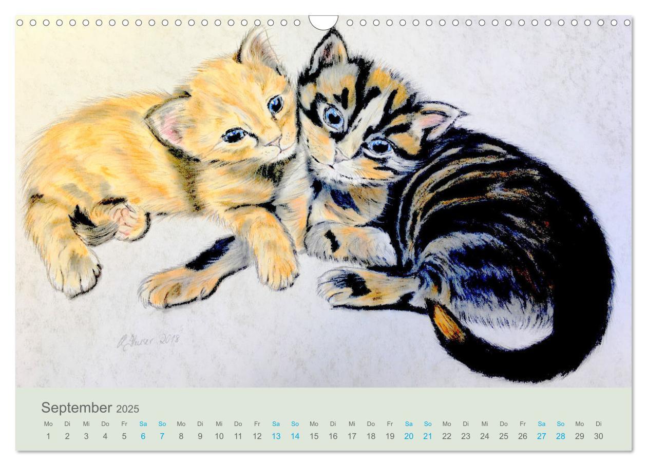 Bild: 9783435097487 | KATZEN PortraiTierART (Wandkalender 2025 DIN A3 quer), CALVENDO...