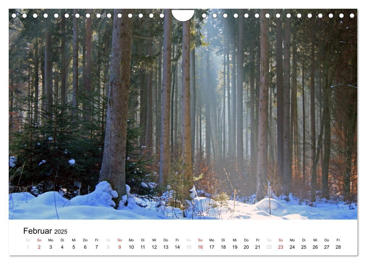 Bild: 9783435602643 | Der Ebersberger Forst und seine Umgebung (Wandkalender 2025 DIN A4...