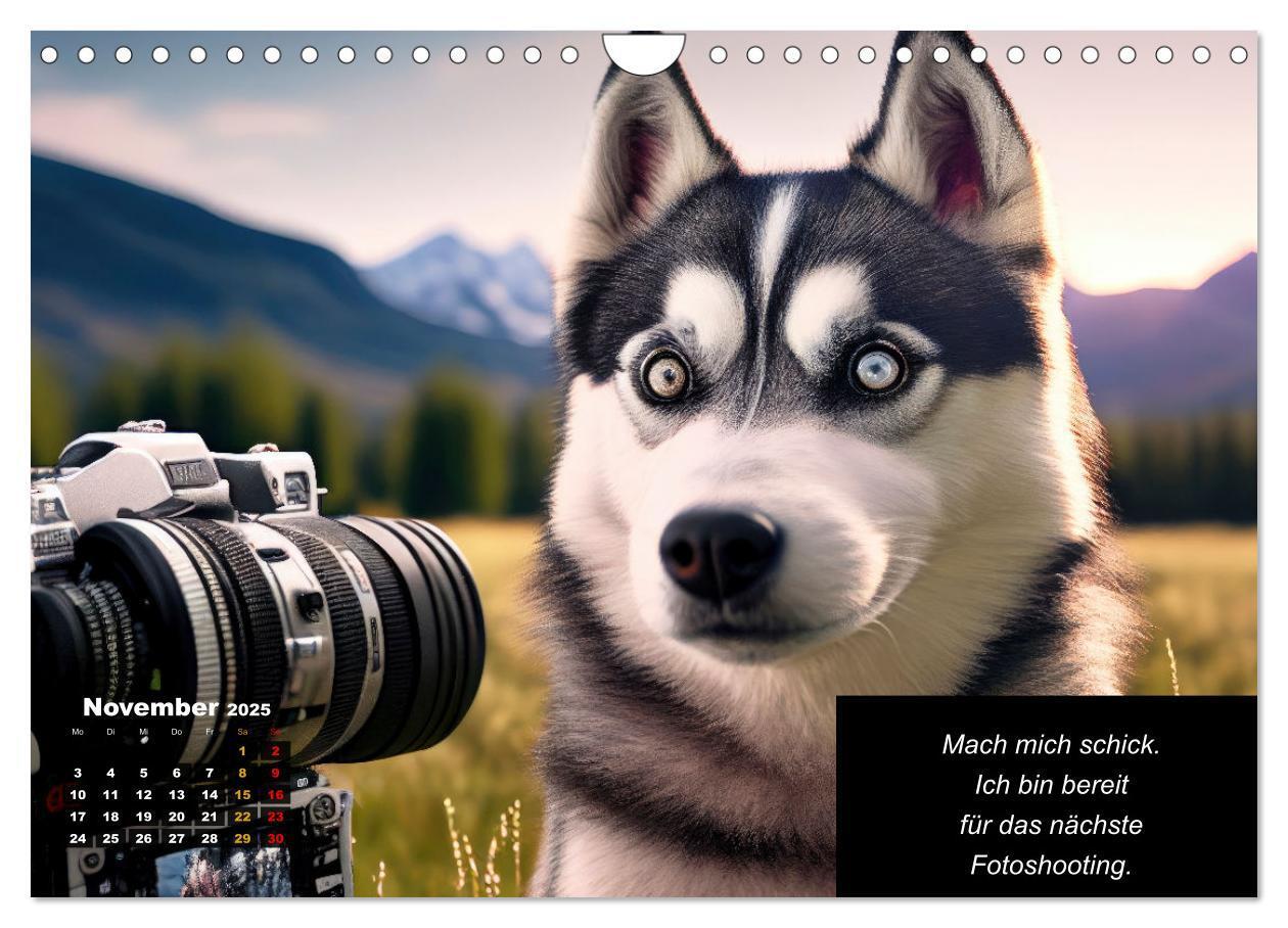 Bild: 9783435639878 | Der tierisch lustige Husky Kalender (Wandkalender 2025 DIN A4...