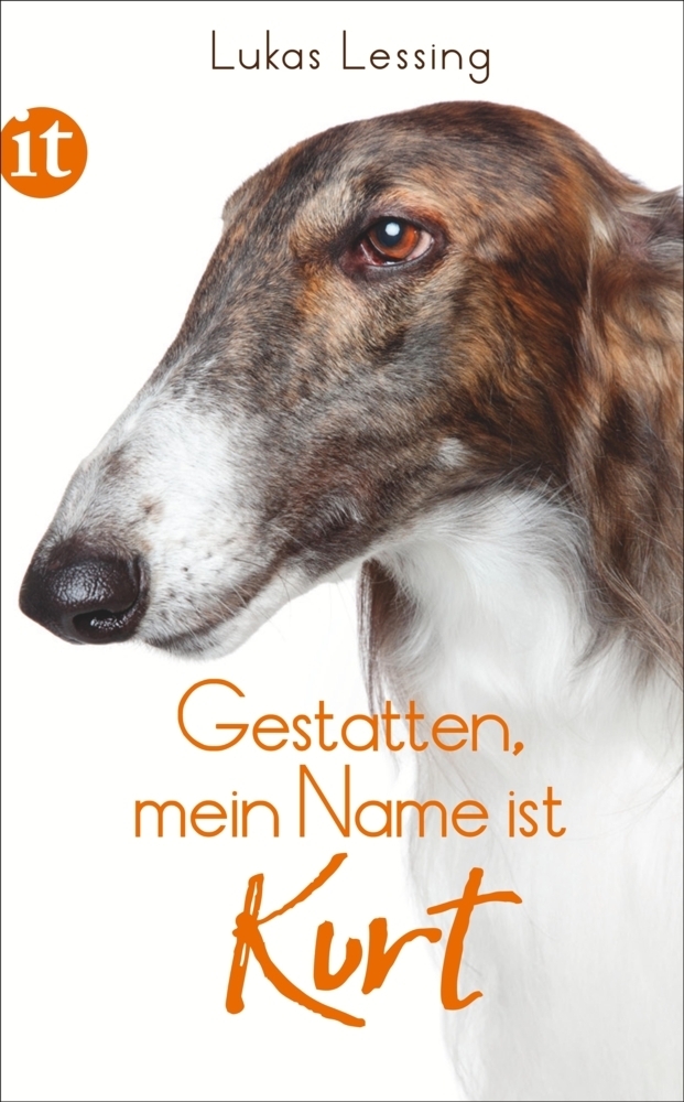 Cover: 9783458360896 | Gestatten, mein Name ist Kurt | Lukas Lessing | Taschenbuch | Deutsch
