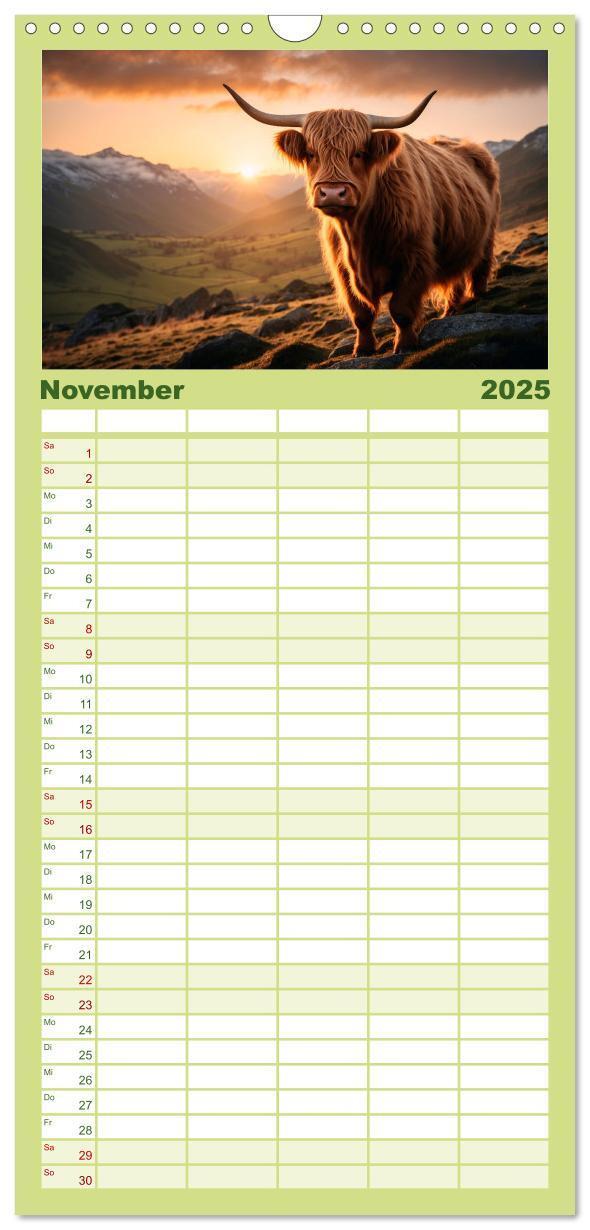 Bild: 9783457135563 | Familienplaner 2025 - Highland Kühe mit 5 Spalten (Wandkalender, 21...