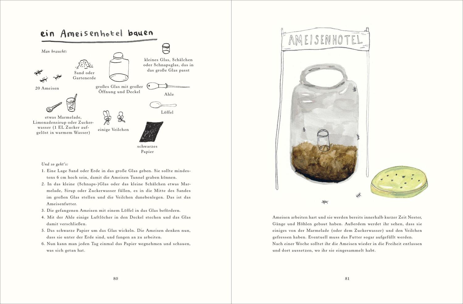 Bild: 9783832199197 | Handbuch für Pflücker und Sammler | Erica Bakker (u. a.) | Buch | 2017
