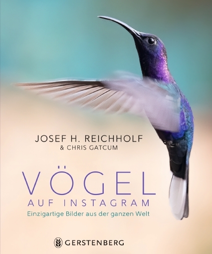 Cover: 9783836921770 | Vögel auf Instagram | Einzigartige Bilder aus der ganzen Welt | Buch