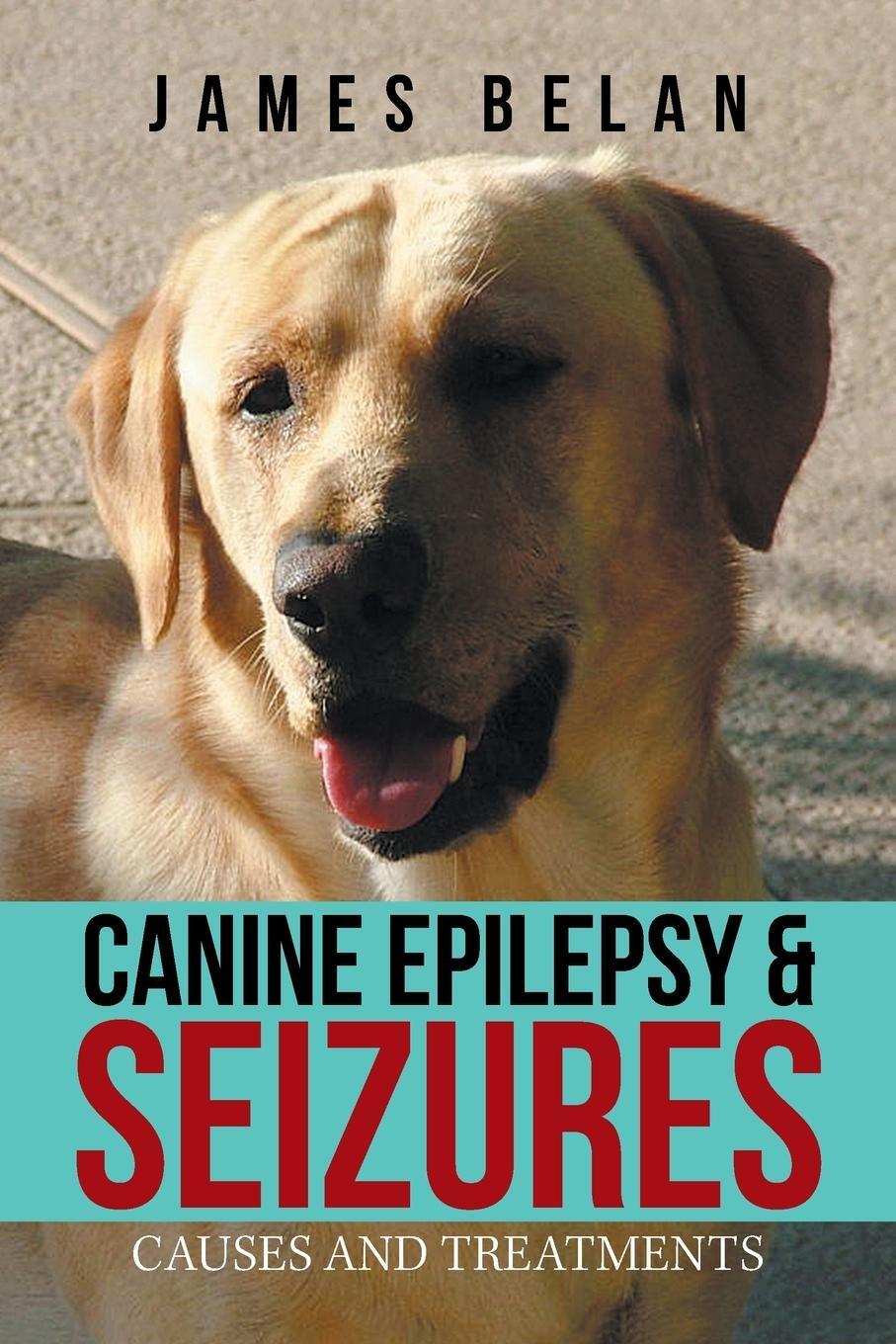 Cover: 9781984550477 | Canine Epilepsy &amp; Seizures | Causes and Treatments | James Belan