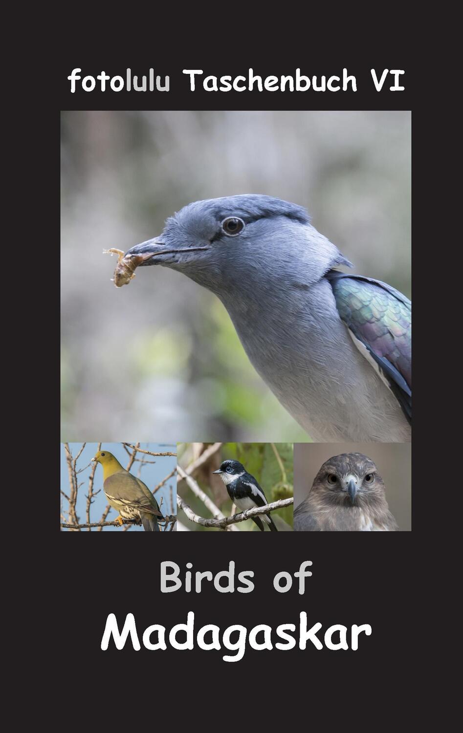Cover: 9783743125209 | Birds of Madagaskar | Fotolulu | Taschenbuch | Books on Demand