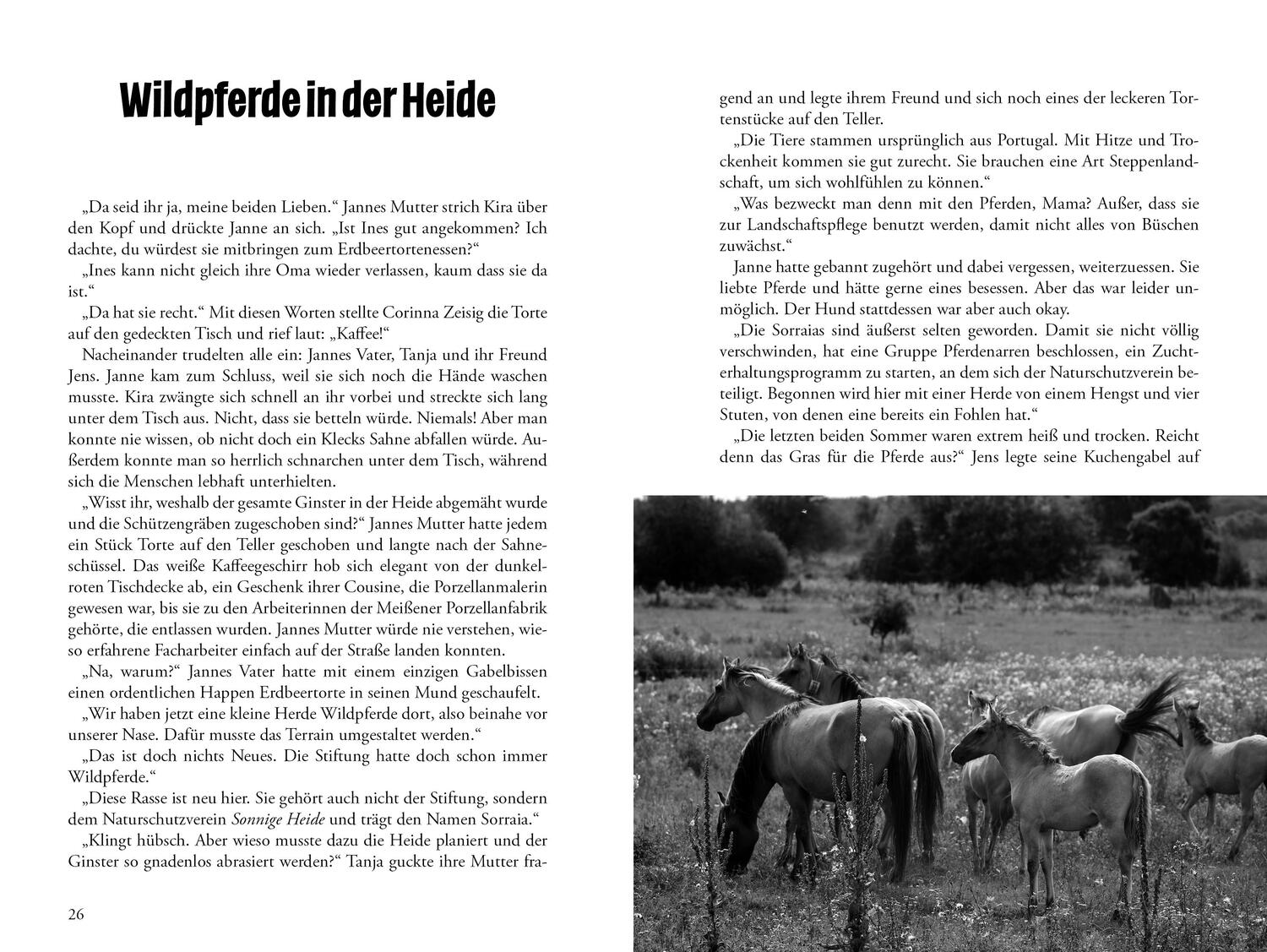 Bild: 9783960745303 | Die Wildpferdpaten | Janne &amp; Freunde Bd. 2 | Cornelia Dunker | Buch