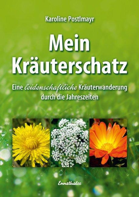 Cover: 9783850688406 | Mein Kräuterschatz | Karoline Postlmayr | Taschenbuch | Deutsch | 2016
