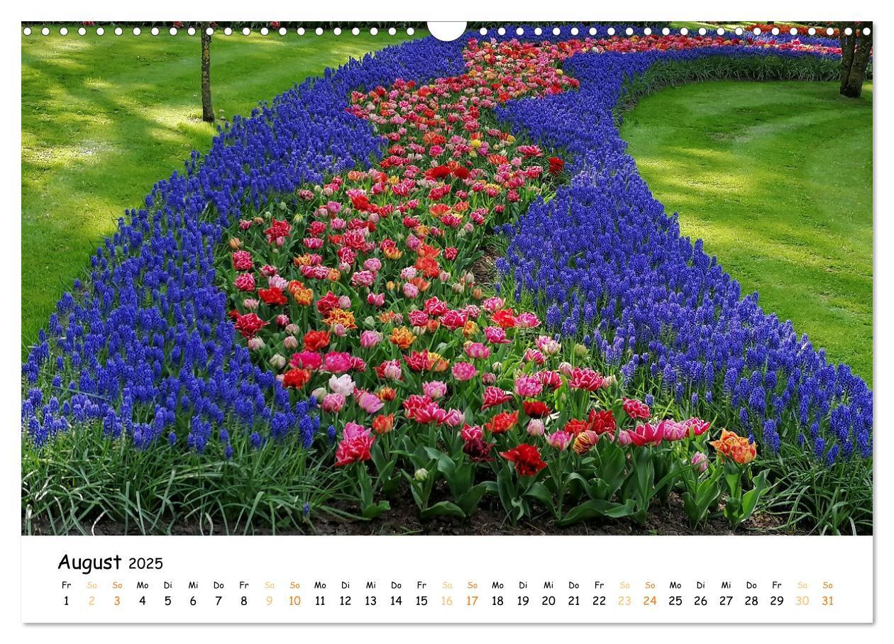 Bild: 9783383924354 | Auf Tour im Land der Tulpen (Wandkalender 2025 DIN A3 quer),...