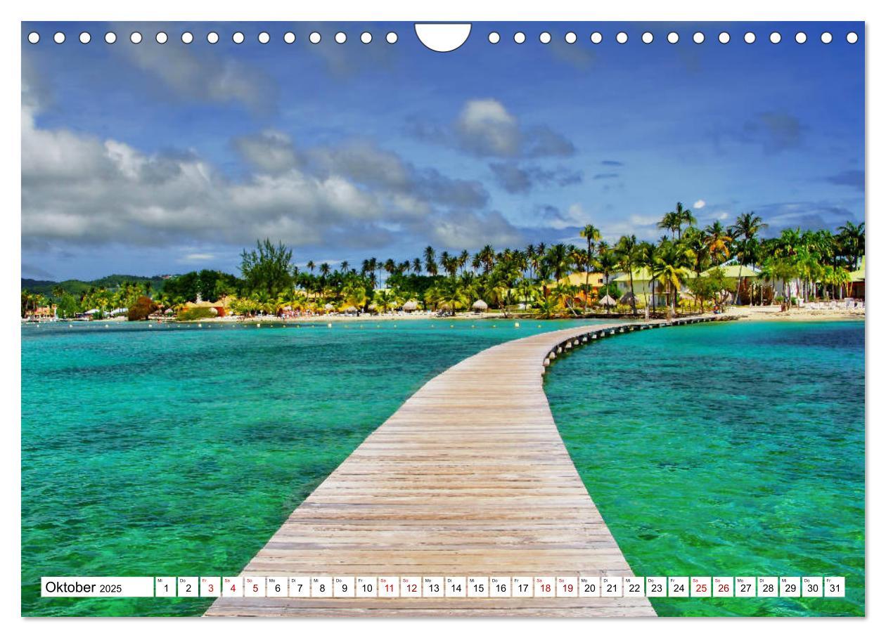 Bild: 9783435380435 | Martinique, die Traumstrände (Wandkalender 2025 DIN A4 quer),...