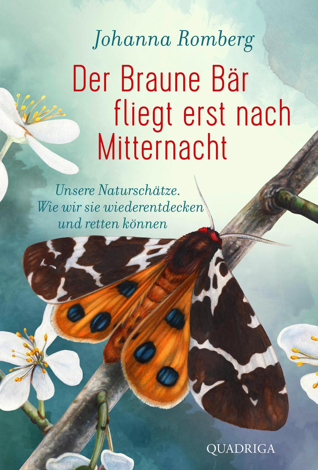 Cover: 9783869951041 | Der Braune Bär fliegt erst nach Mitternacht | Johanna Romberg | Buch