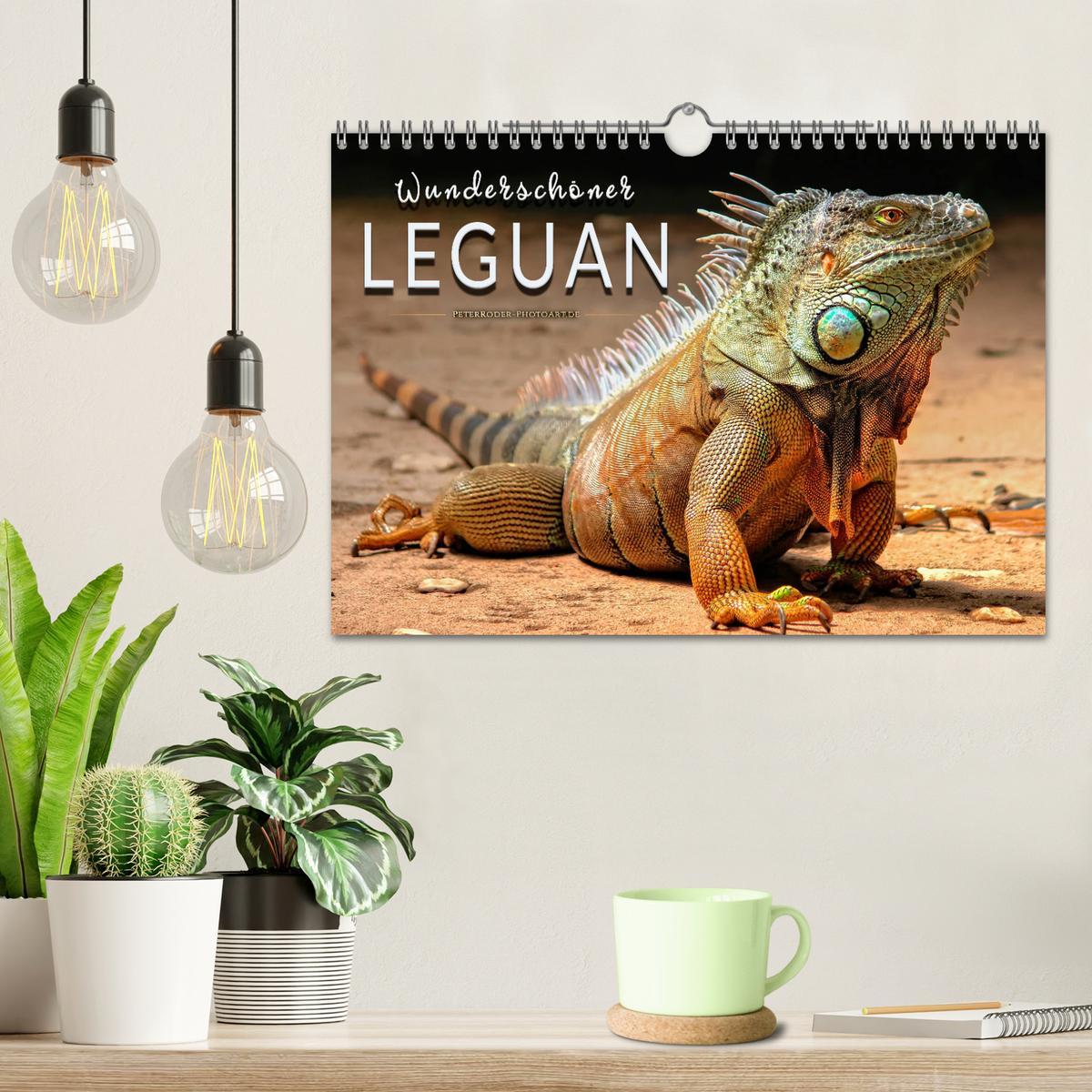 Bild: 9783435335930 | Wunderschöner Leguan (Wandkalender 2025 DIN A4 quer), CALVENDO...