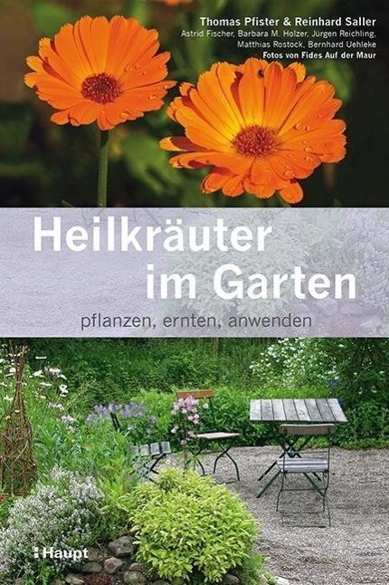 Cover: 9783258078304 | Heilkräuter im Garten | pflanzen, ernten, anwenden | Uehleke (u. a.)