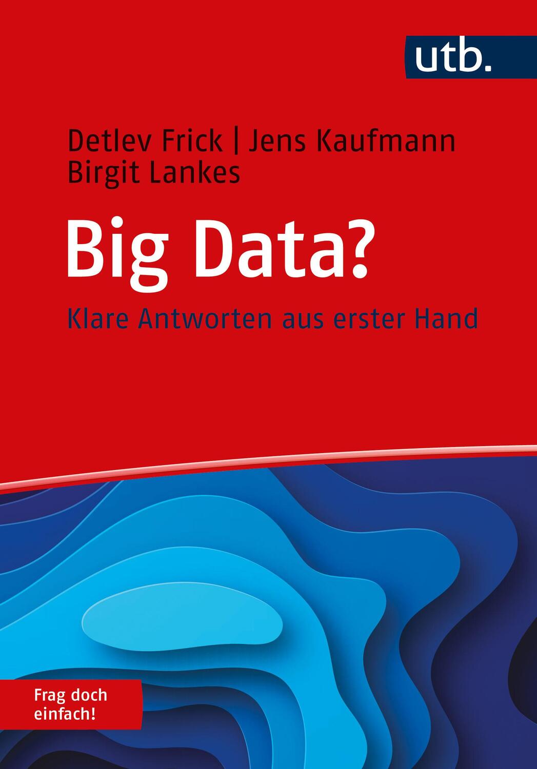 Cover: 9783825254421 | Big Data? Frag doch einfach! | Klare Antworten aus erster Hand | Buch
