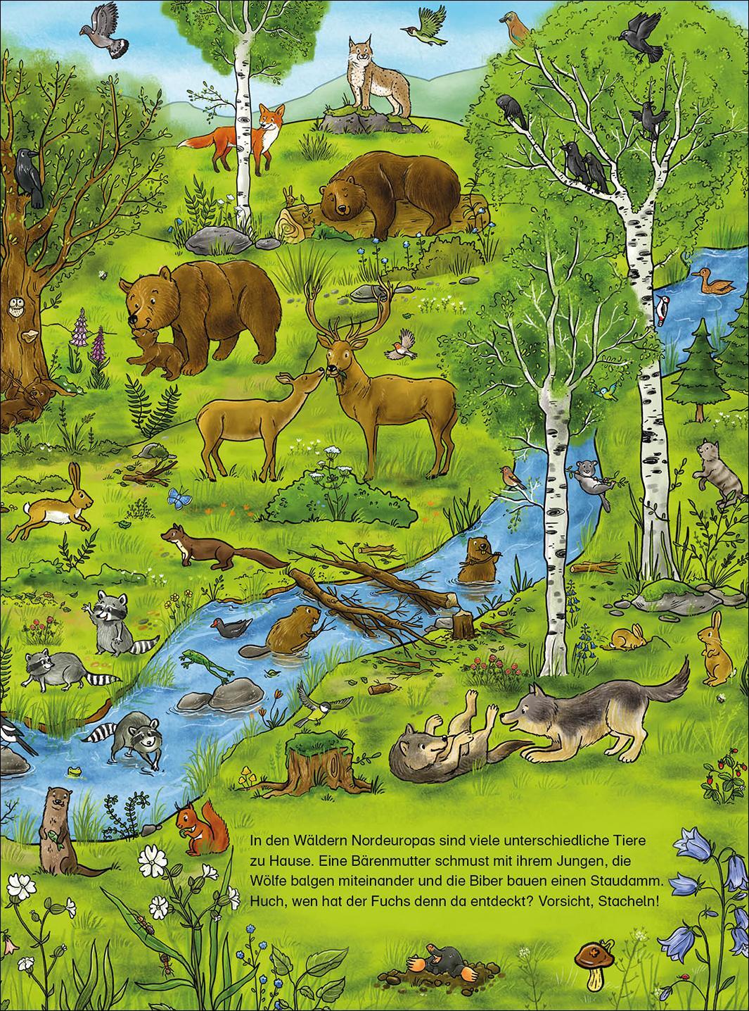 Bild: 9783743210523 | Das große Wimmelbuch der Tiere | Loewe Wimmelbücher (u. a.) | Buch