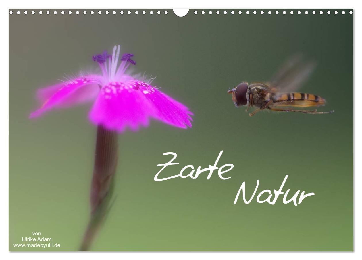 Cover: 9783435694310 | Zarte Natur 2025 (Wandkalender 2025 DIN A3 quer), CALVENDO...