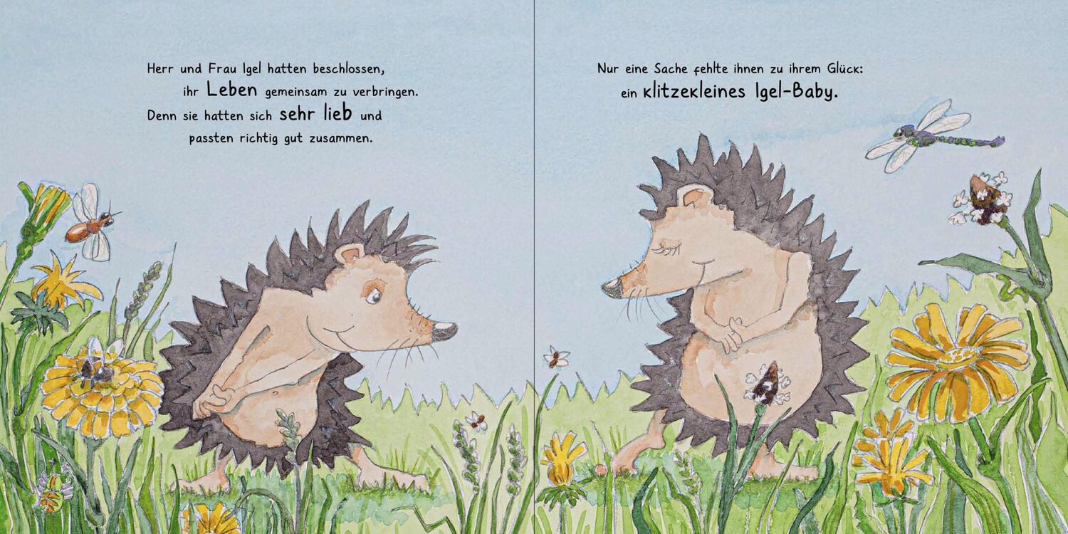 Bild: 9783948417161 | Die Geschichte von Herrn und Frau Igel | Michaela Rosenbaum | Buch