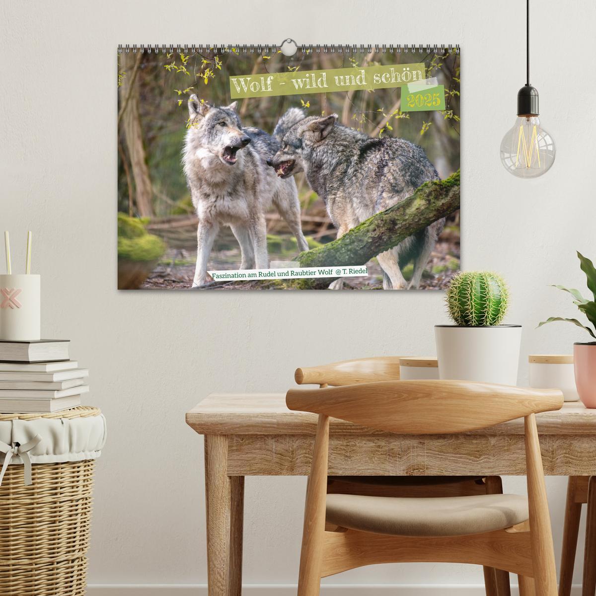 Bild: 9783383972652 | Wolf - wild und schön (Wandkalender 2025 DIN A3 quer), CALVENDO...