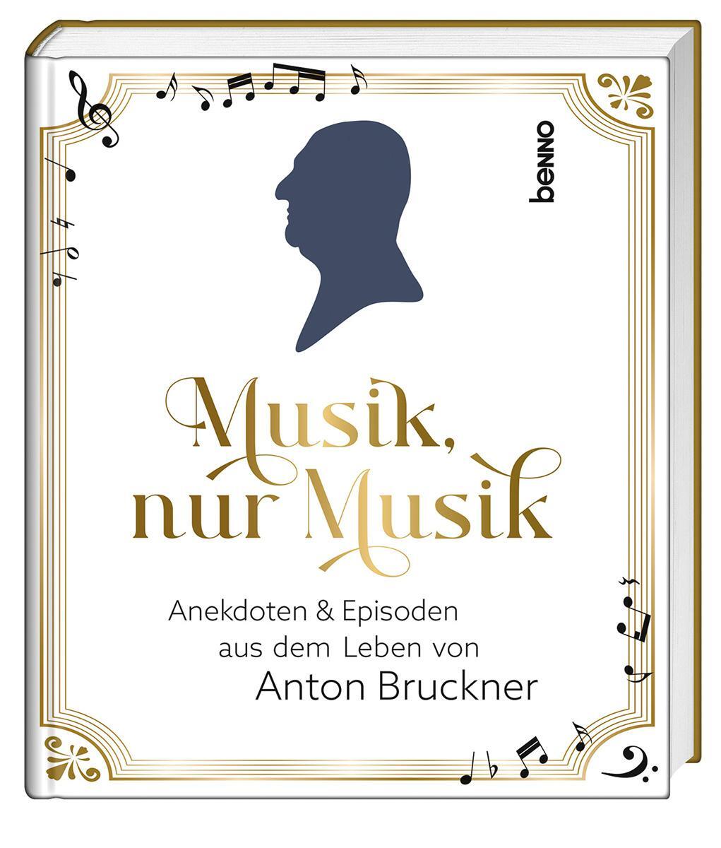 Cover: 9783746265971 | Musik, nur Musik | Hermann Multhaupt | Buch | 96 S. | Deutsch | 2024