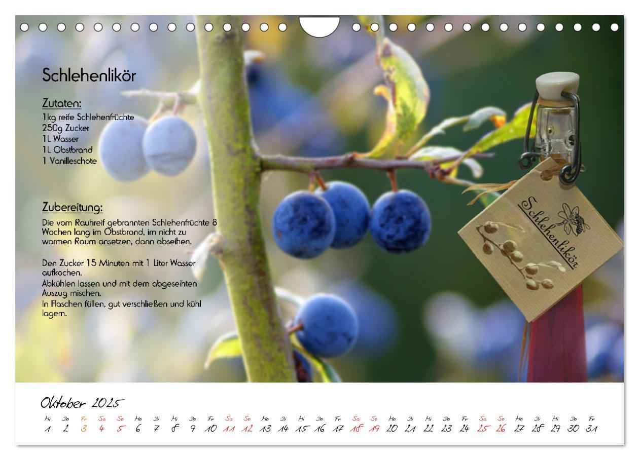 Bild: 9783435034512 | Schmackhaft durchs Jahr (Wandkalender 2025 DIN A4 quer), CALVENDO...