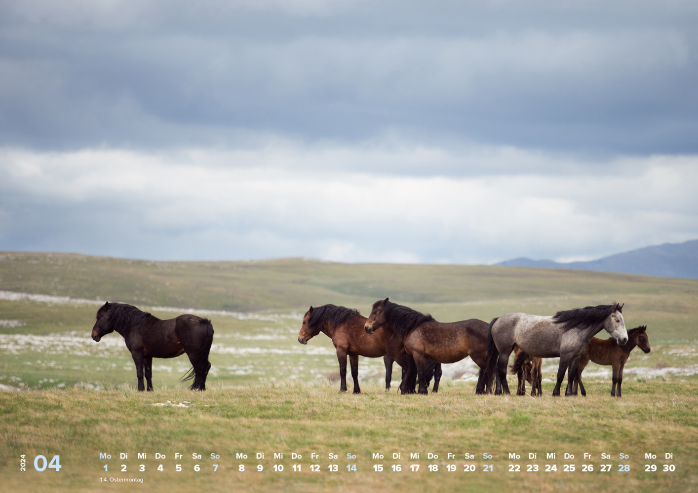 Bild: 9783832806521 | Pferde Kalender 2024 Pferdeglück! Die schönsten Pferdemotive und...