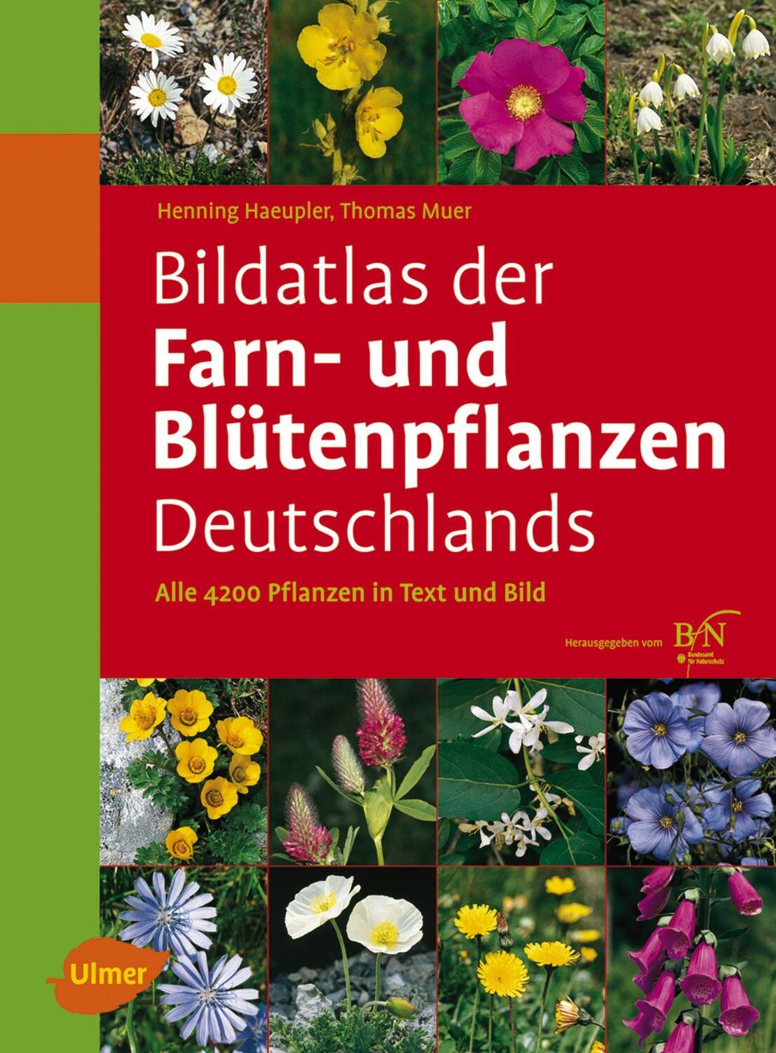 Cover: 9783800149902 | Bildatlas der Farn- und Blütenpflanzen Deutschlands | Haeupler (u. a.)