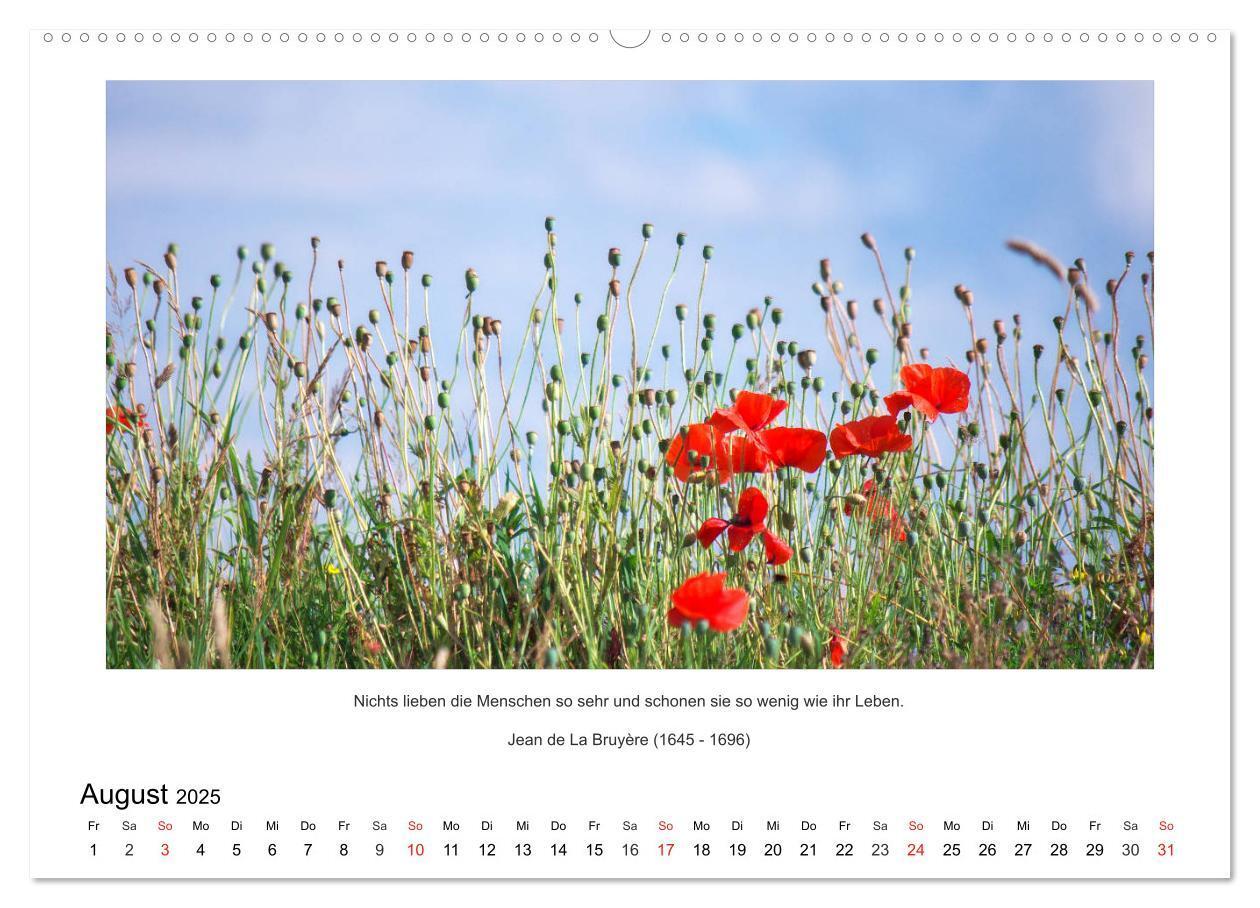 Bild: 9783435672882 | Der Naturkalender mit Zitaten und Sprüchen (Wandkalender 2025 DIN...