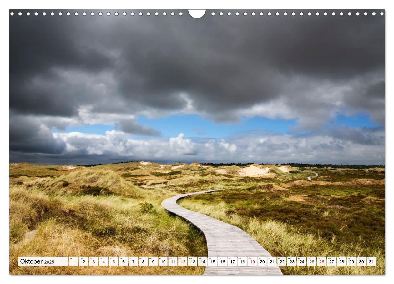 Bild: 9783435618415 | Amrum. Natur und Landschaften (Wandkalender 2025 DIN A3 quer),...