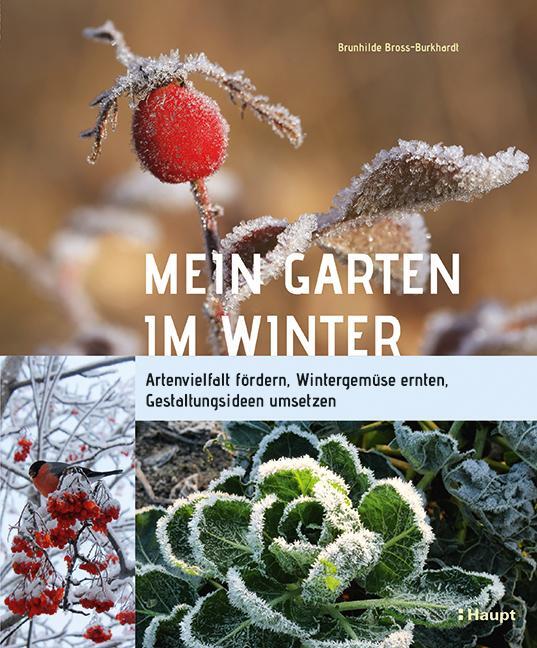 Cover: 9783258081724 | Mein Garten im Winter | Brunhilde Bross-Burkhardt | Buch | Deutsch