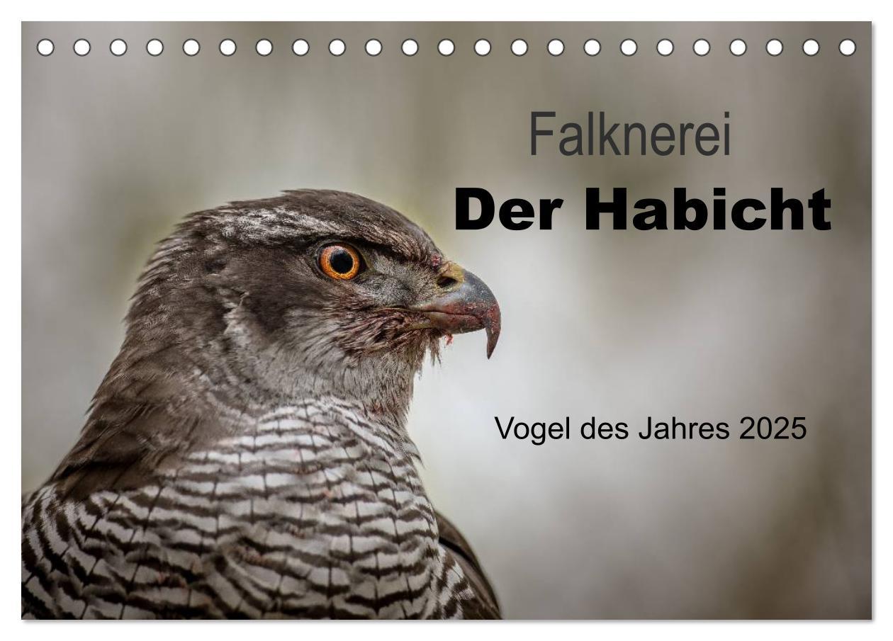 Cover: 9783435634231 | Falknerei Der Habicht (Tischkalender 2025 DIN A5 quer), CALVENDO...