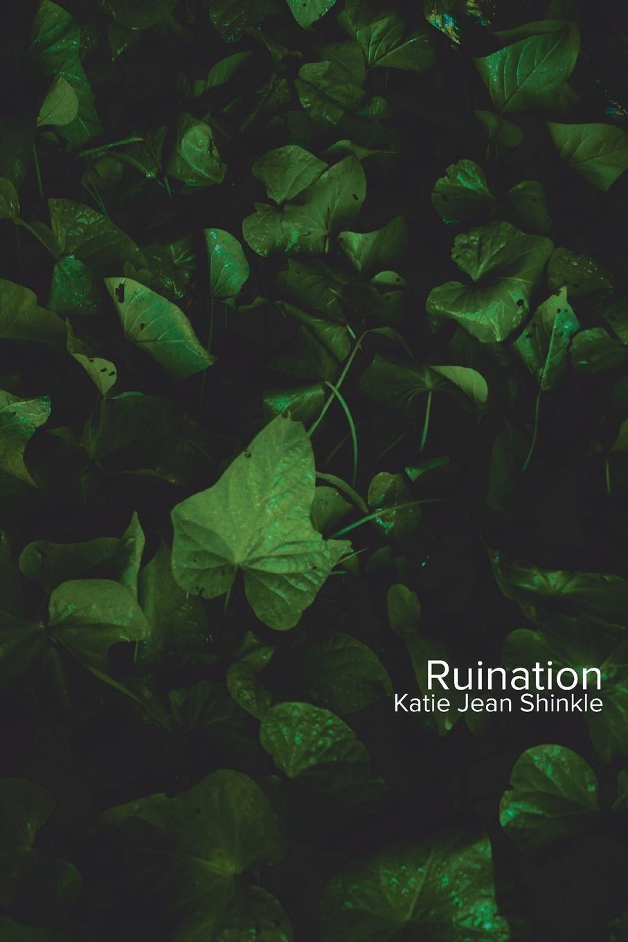 Cover: 9781947980419 | Ruination | Katie Jean Shinkle | Taschenbuch | Paperback | Englisch