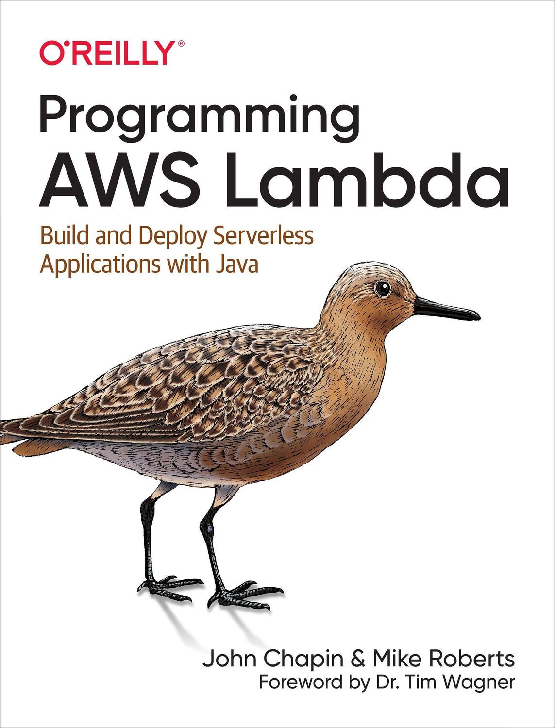 Cover: 9781492041054 | Programming AWS Lambda | John Chapin (u. a.) | Taschenbuch | Englisch