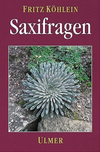 Cover: 9783800164479 | Saxifragen | und andere Steinbrechgewächse | Fritz Köhlein | Buch