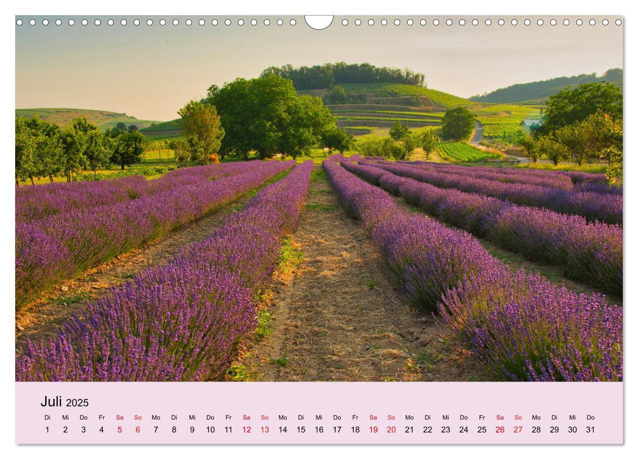 Bild: 9783383794285 | Augenblicke im Kaiserstuhl (Wandkalender 2025 DIN A3 quer),...