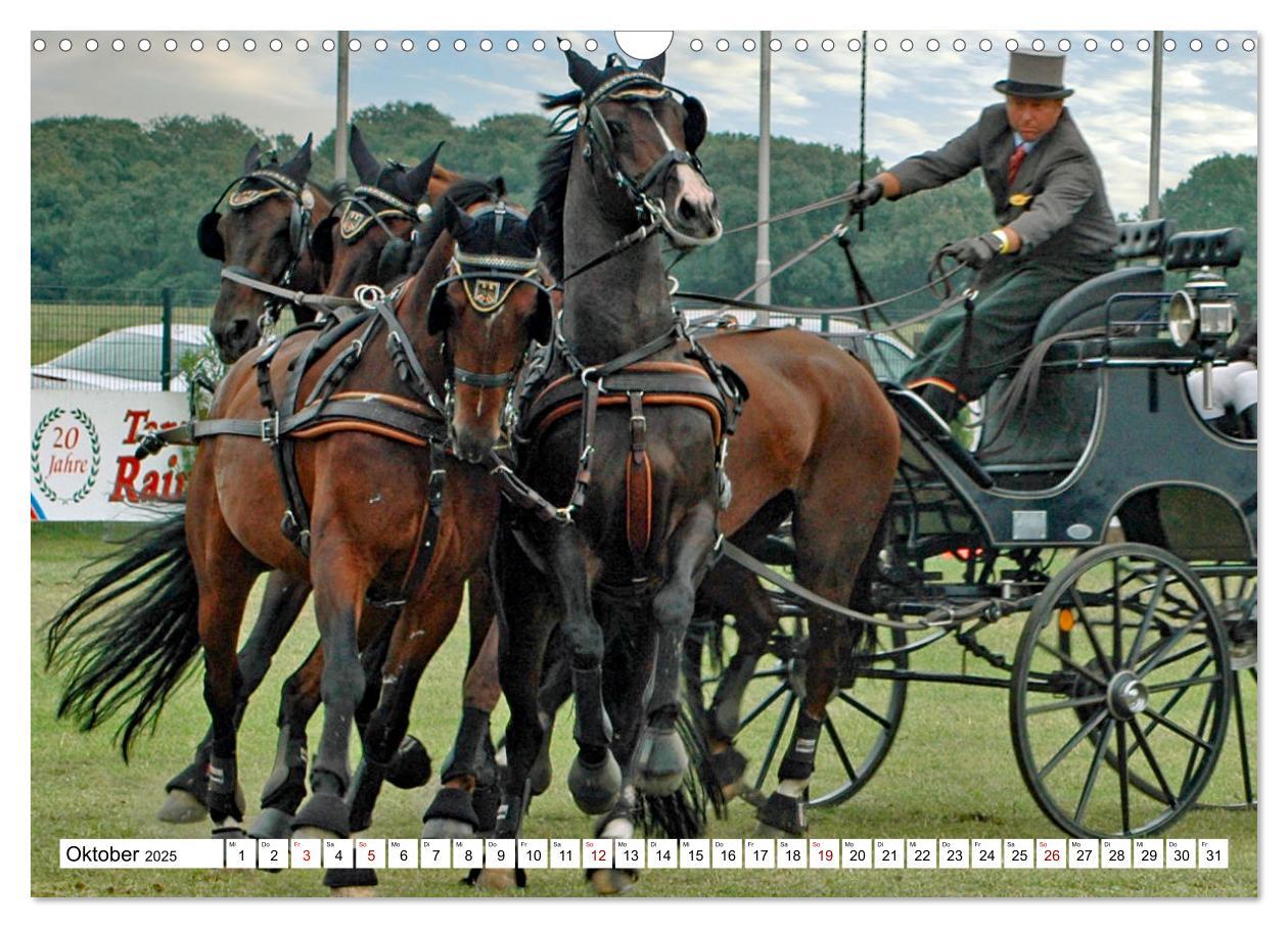 Bild: 9783383964572 | Vierspänner Herausforderung Fahrsport (Wandkalender 2025 DIN A3...