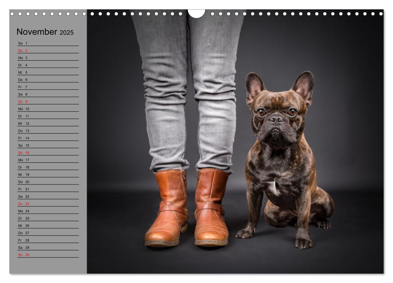 Bild: 9783435030927 | Bullymania - Französische Bulldoggen (Wandkalender 2025 DIN A3...