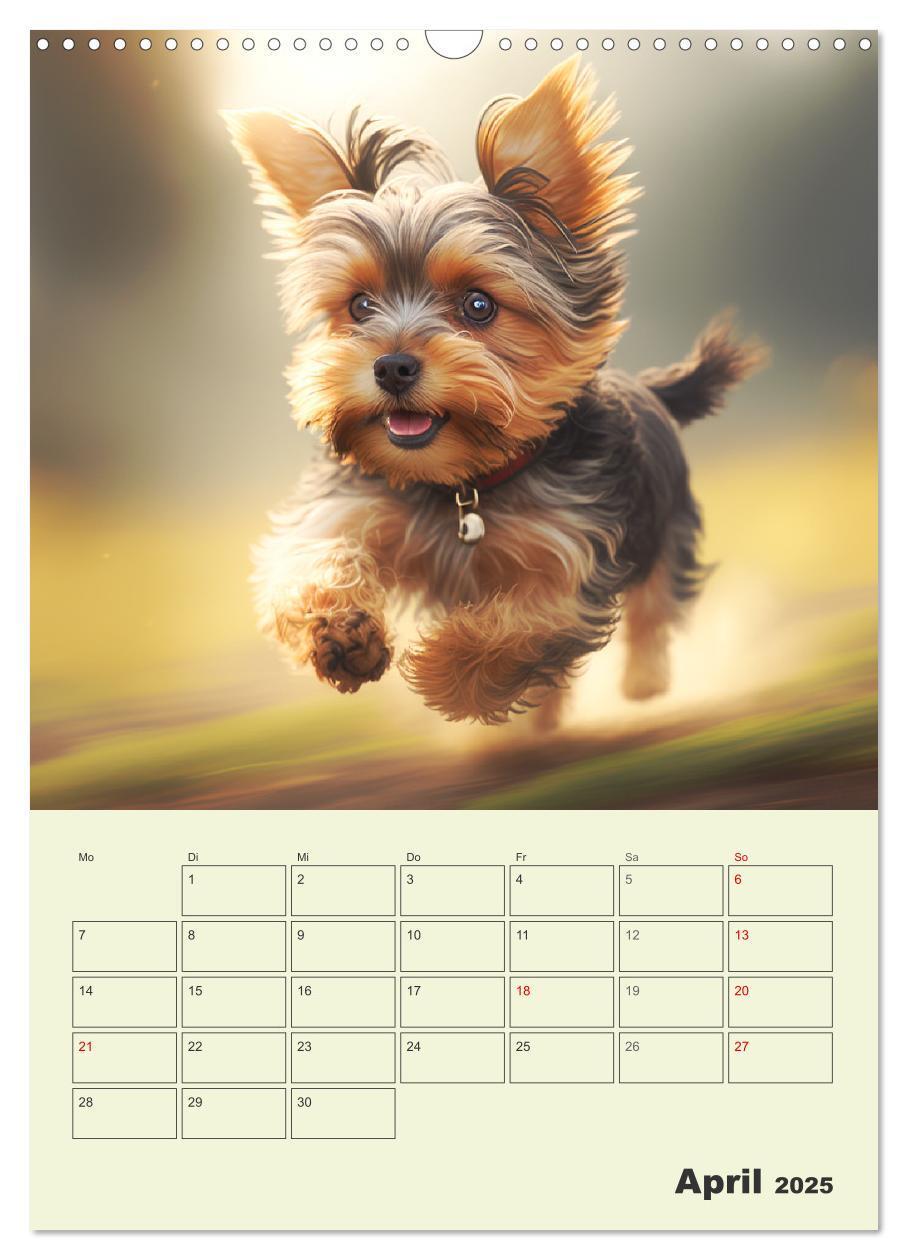 Bild: 9783435873715 | Yorkshire Terrier. Fröhliche Energiebündel in Aktion (Wandkalender...