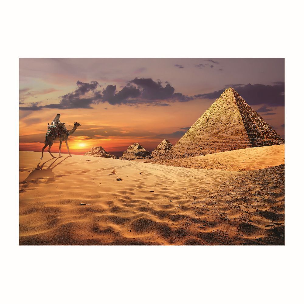 Bild: 8412668196438 | EDUCA - Wüste im Sonnenuntergang 1000 Teile Puzzle | Spiel | 2023