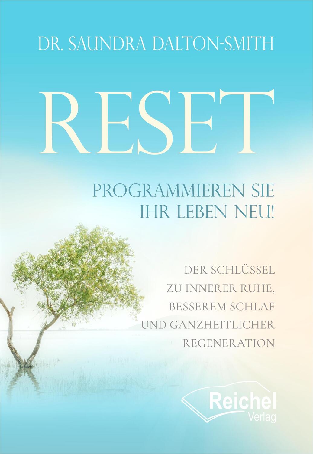 Cover: 9783910402089 | RESET | Programmieren Sie Ihr Leben neu | Dalton-Smith | Taschenbuch