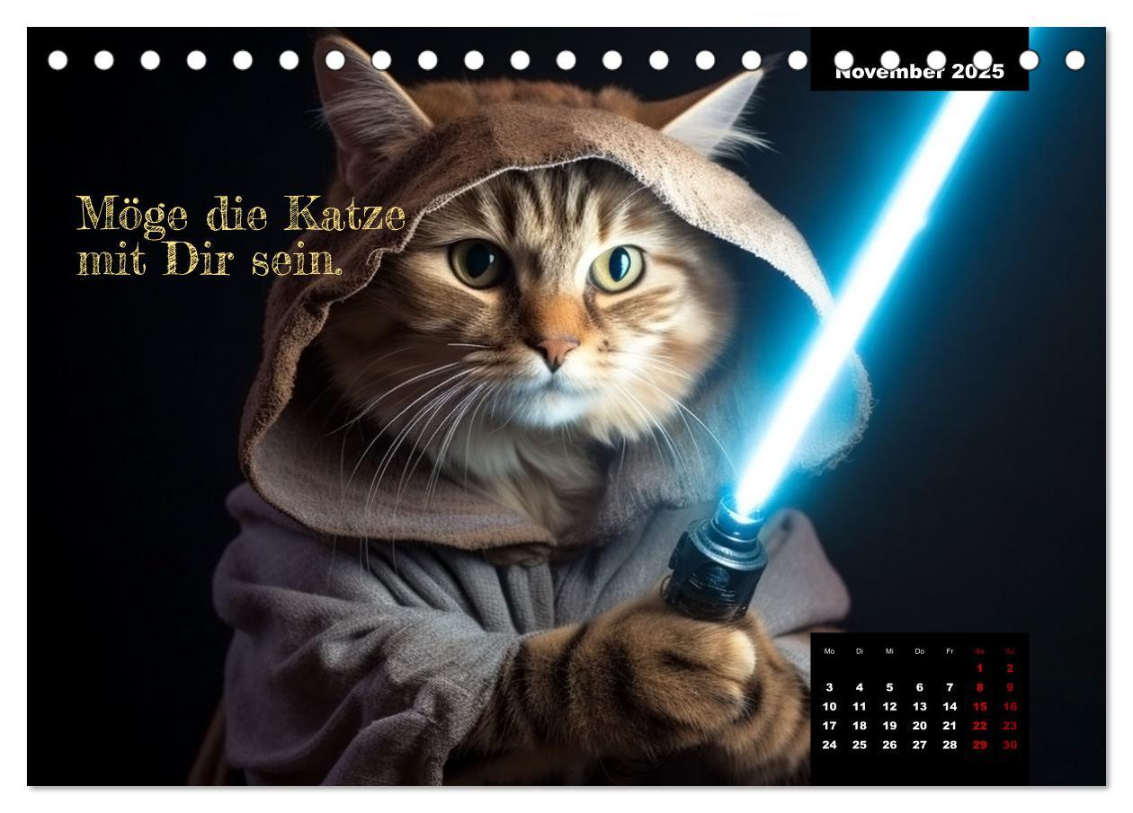 Bild: 9783383837753 | Katzen können alles, außer traurig. (Tischkalender 2025 DIN A5...