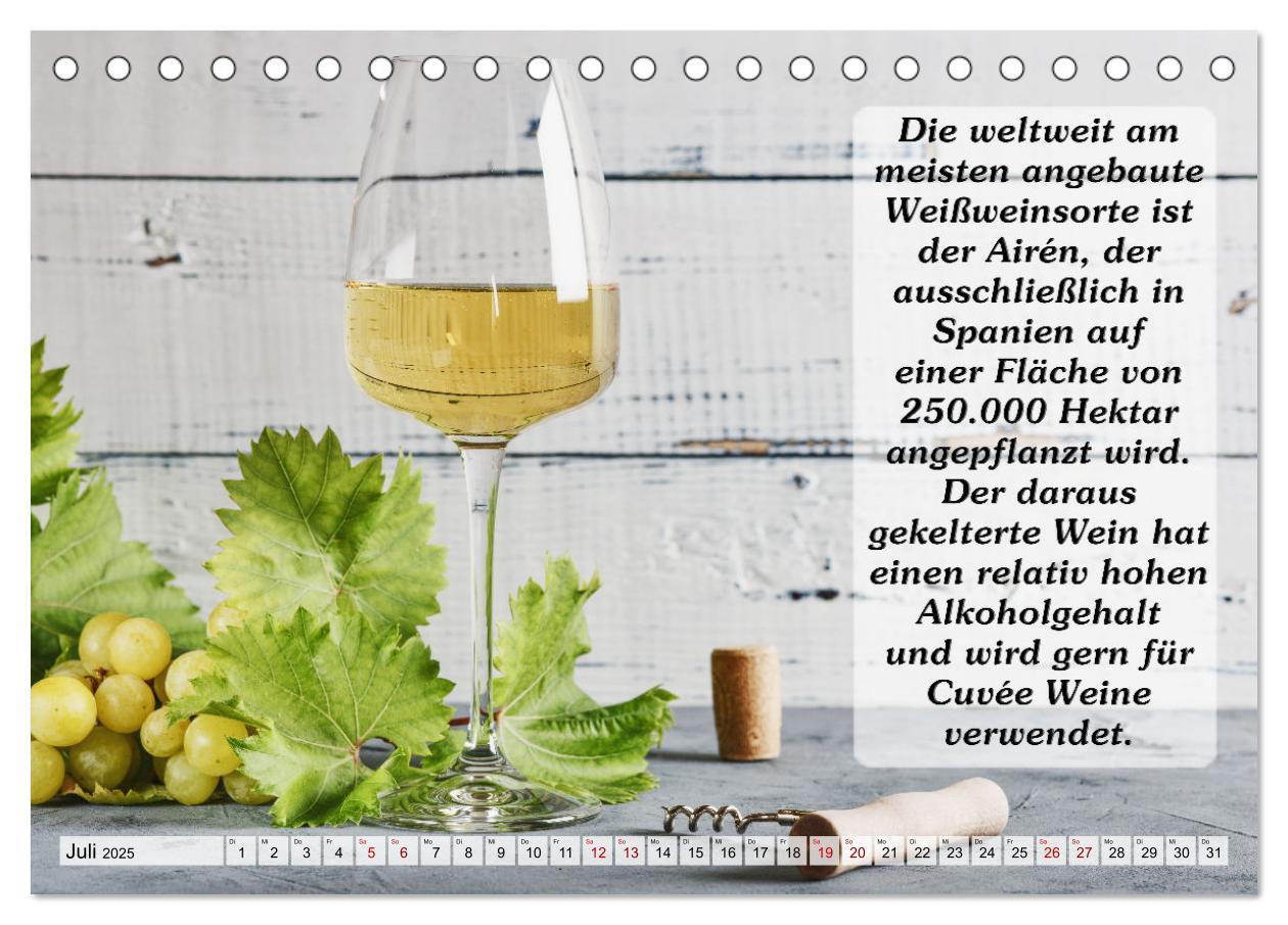 Bild: 9783435031207 | Wissenswertes über Wein (Tischkalender 2025 DIN A5 quer), CALVENDO...