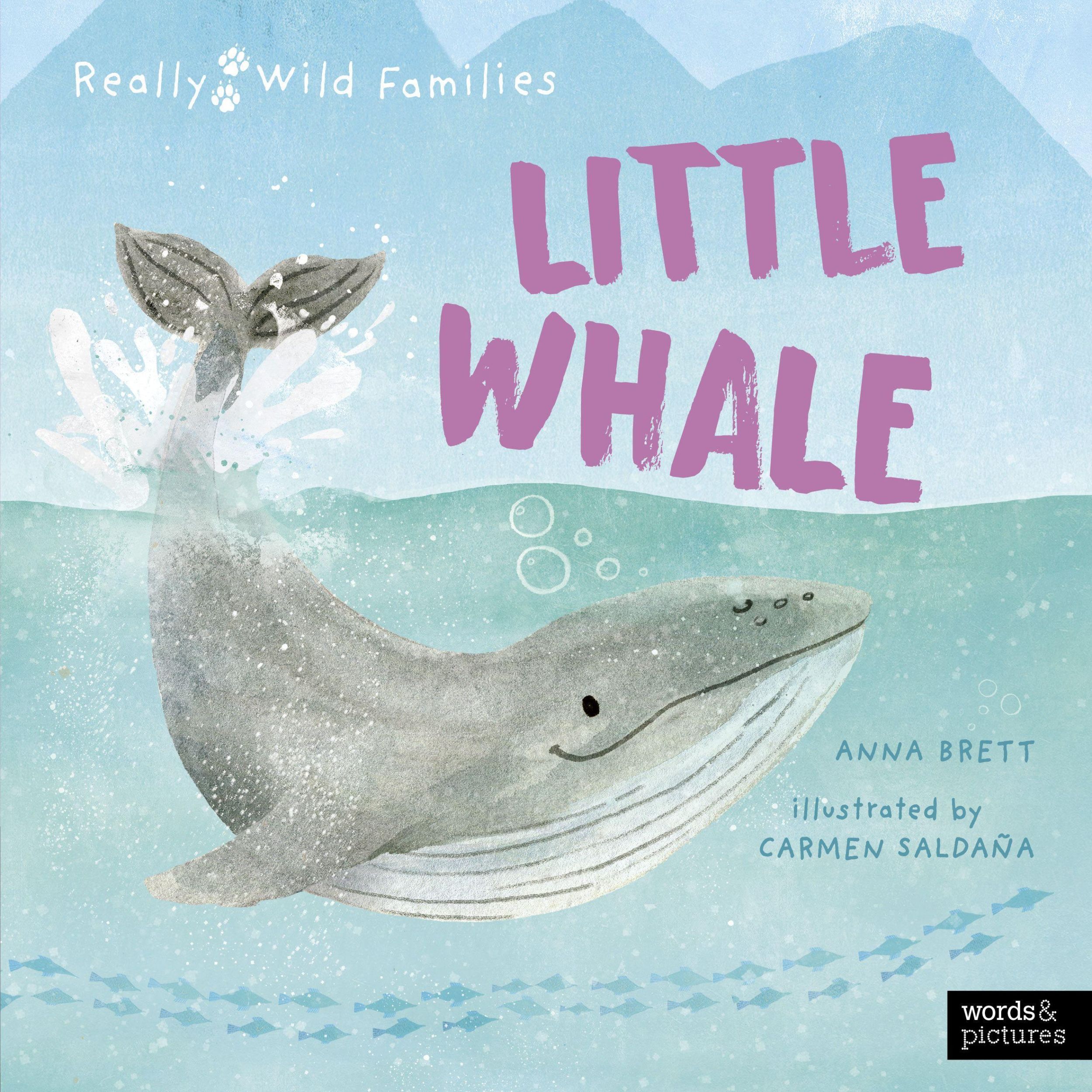 Cover: 9780711283541 | Little Whale | A Day in the Life of a Whale Calf | Anna Brett | Buch