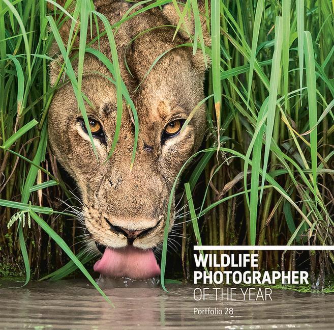 Cover: 9780565094287 | Wildlife Photographer of the Year: Portfolio 28 | Rosamund Kidman Cox