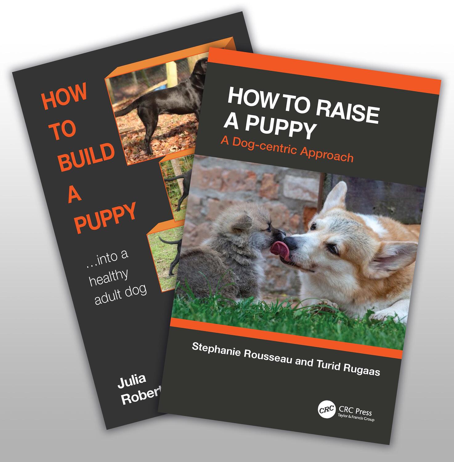 Cover: 9781032404899 | How to Raise a Healthy, Happy Dog | Julia Robertson (u. a.) | Buch